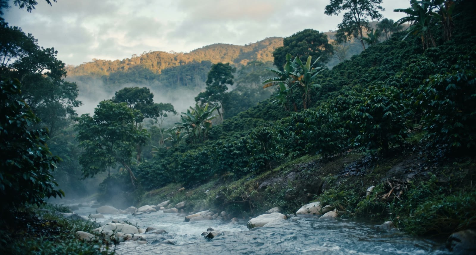 A river running through the forested highlands of Chiapas, Mexico.